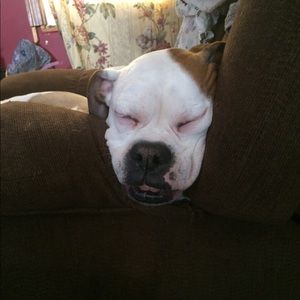 Meet your Posher, Travis